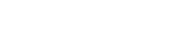 enterprice ireland logo